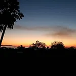 Olgas