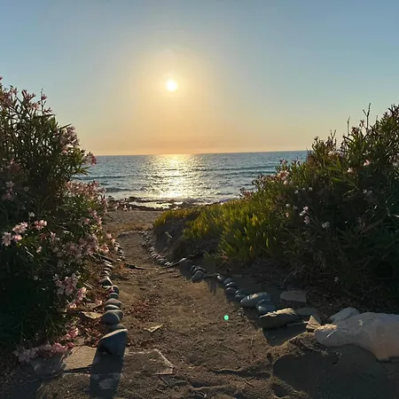 Olgas * Agia Marina (Northern Cyprus)